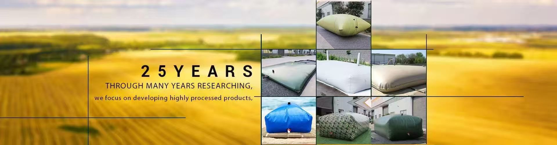 品質 タンクの水槽 工場