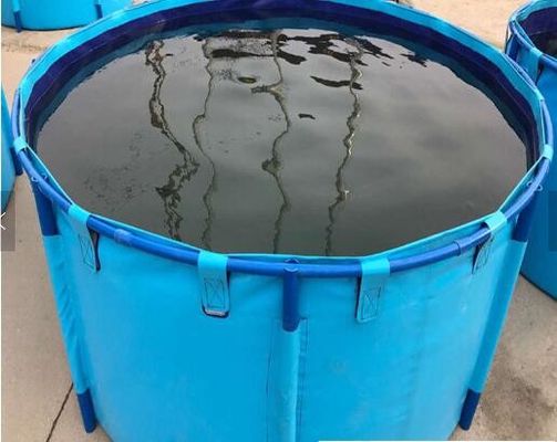 栽培漁業のアクアリウム水貯蔵タンク、地上の魚のいる池の折りたたみ魚飼育用の水槽の上の青いシリンダー