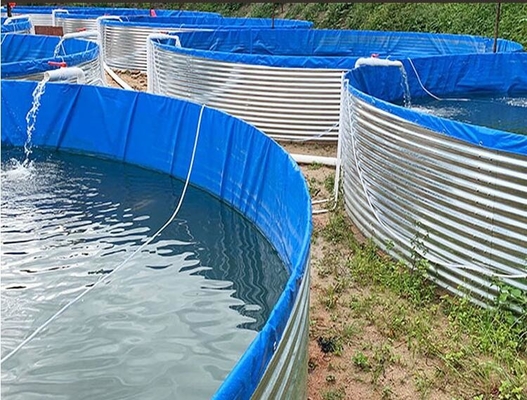 水族館 ポリエチン 魚池 ガルバネス プレート 10M D 1.20M H