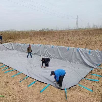 PVCタパウリン 折りたたむ農業用雨水の収集膀??