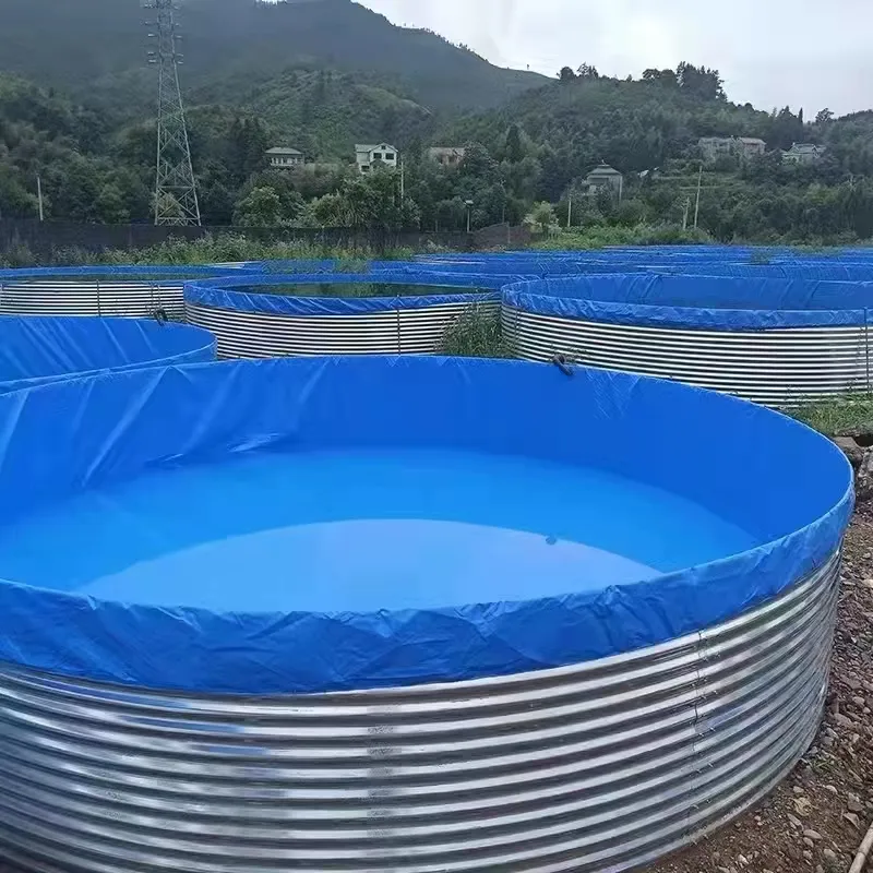 Shanghai BGO Industries Ltd. 工場生産ライン 0
