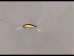 プラスチックの餌 新岩 肥えたサーモン餌 海漁 硬い餌