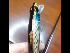 プラスチックルアー 海釣り 遠投 ハードベイト