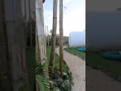 ホテル 客室 屋外 家 膨らませる バブル テント